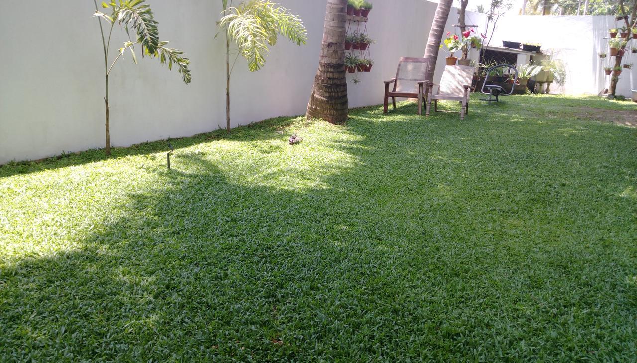 Prosperity Villa Negombo Zewnętrze zdjęcie